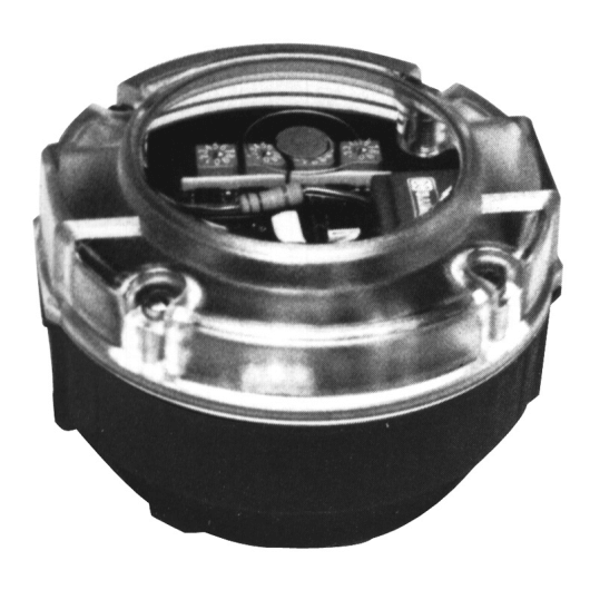 Badger RCDL Model 70 Meter with PFT-1E Transmitter – IPECSales